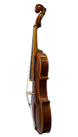 Barokna Violina 1 Uspravna Bok